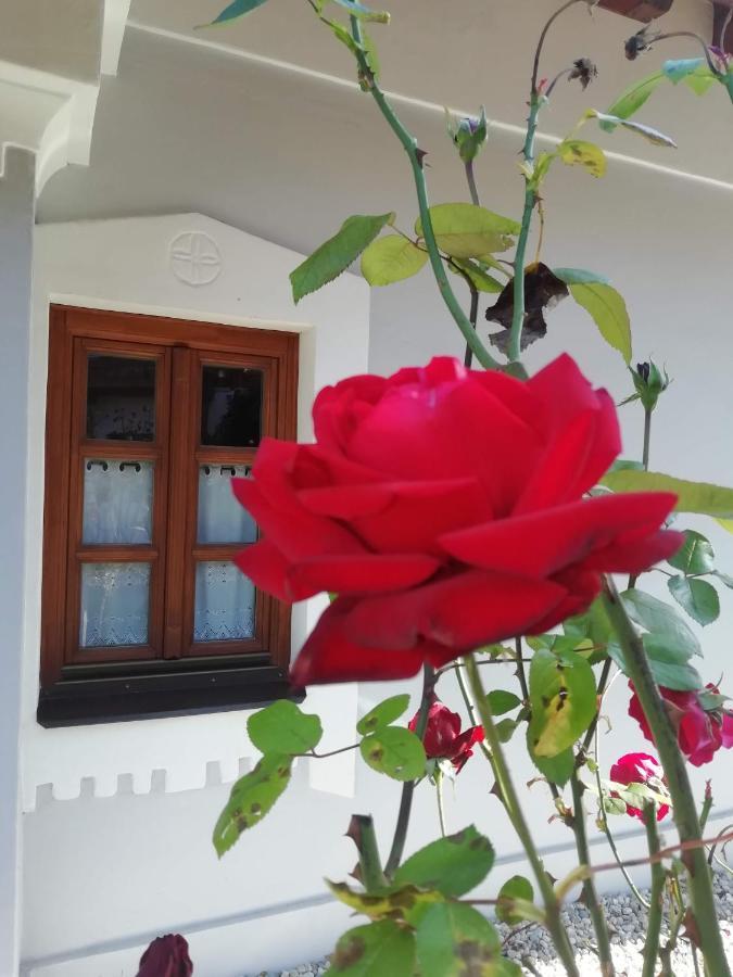 Aracsi Vendeghaz Hotel Balatonfüred Екстериор снимка